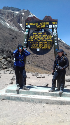 Barafu Camp – Uhuru Peak – Millenium Camp - FB