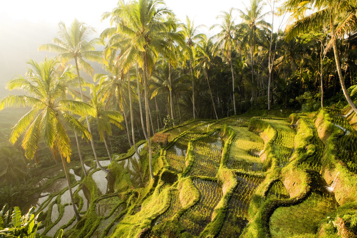 Ubud les secrets de Bali