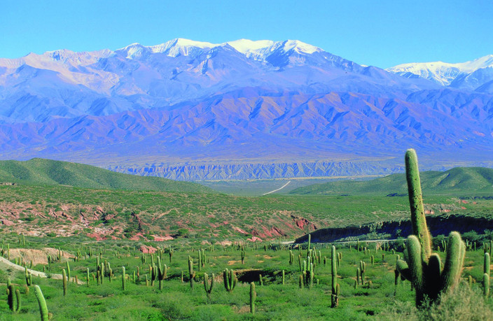 Salta - San Salvador de Jujuy - Salinas Grandes - Purmamarca