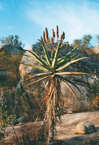 Parc national de Matobo