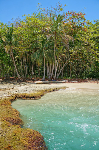 Puerto Viejo de Talamanca et Sarapiqui