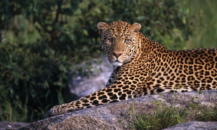 Karatu Town - Serengeti NP - FB