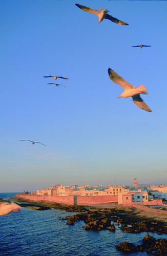 Essaouira