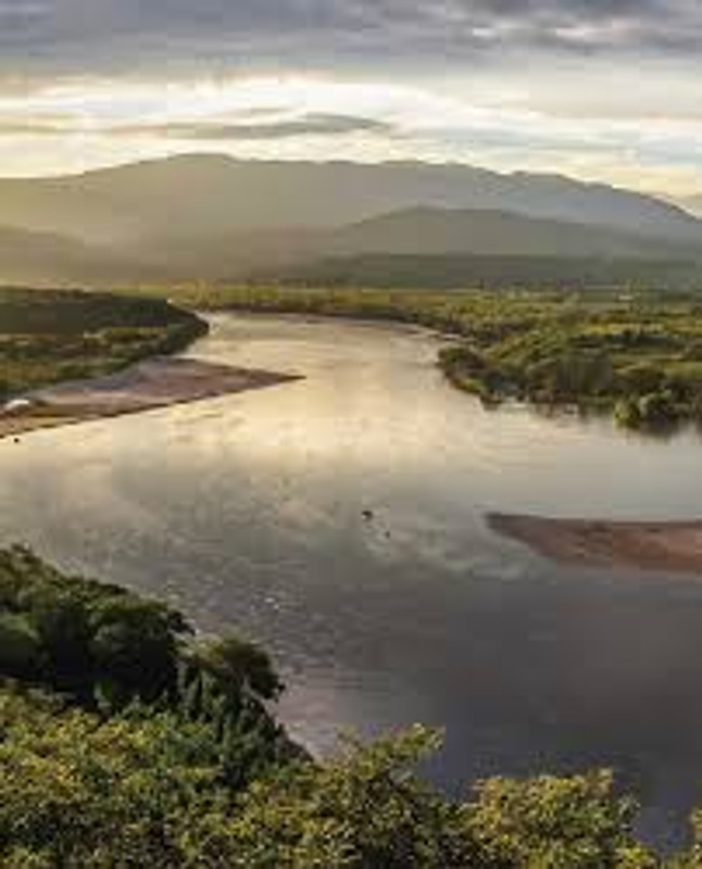 https://colombia.travel/es/macondo-colombia/tierra-colombiana/experiencias-turisticas-rio-magdalena-colombia