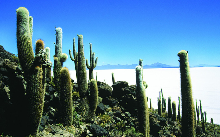 San Pedro de Quemez - Grottes des galaxies - Salar d'Uyuni Tahua