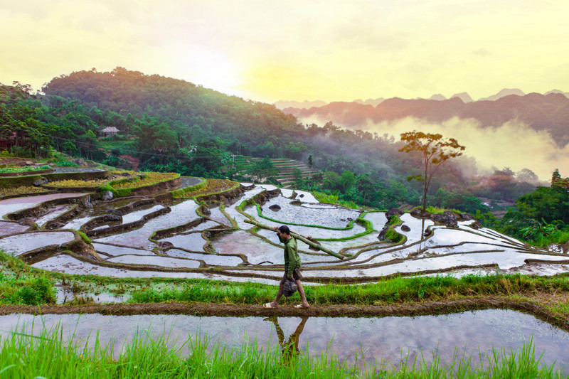JOUR 03 : BA BE - BAN GIOC