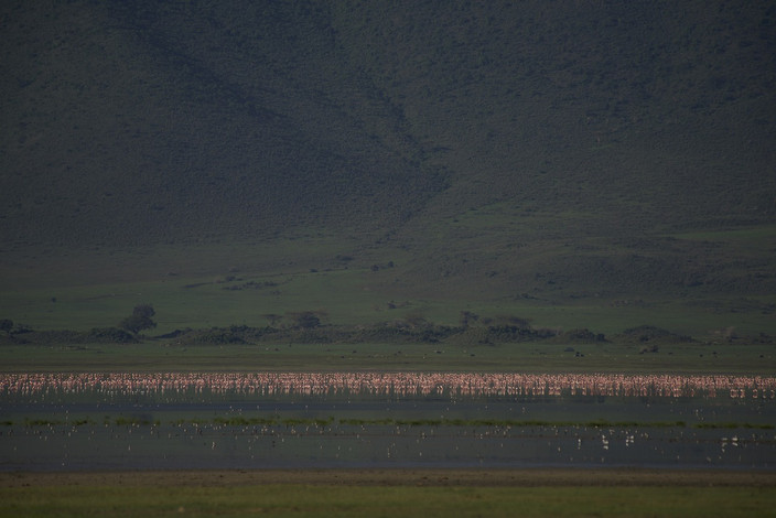 Lac Natron