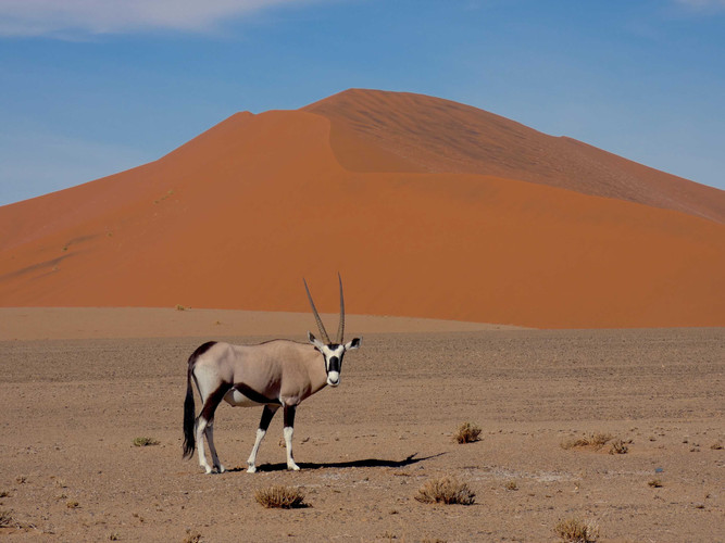 SWAKOPMUND - CAPE CROSS - TWYFELFONTEIN