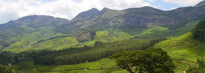 Visite de Munnar