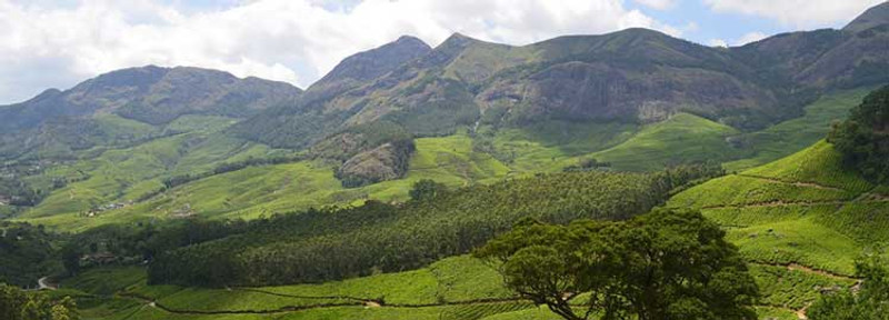 Visite de Munnar