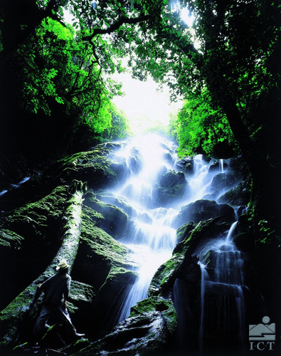 Dominical - Uvita