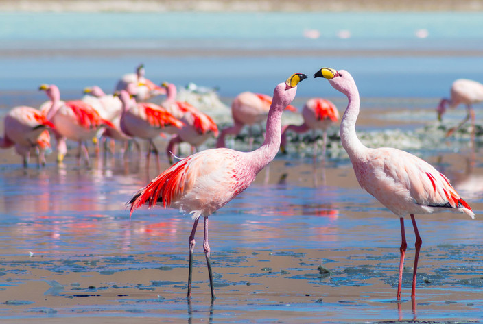 Uyuni- Villamar