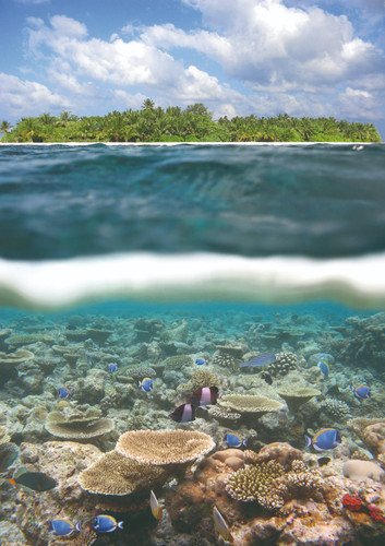 Medhufushi Island Resort