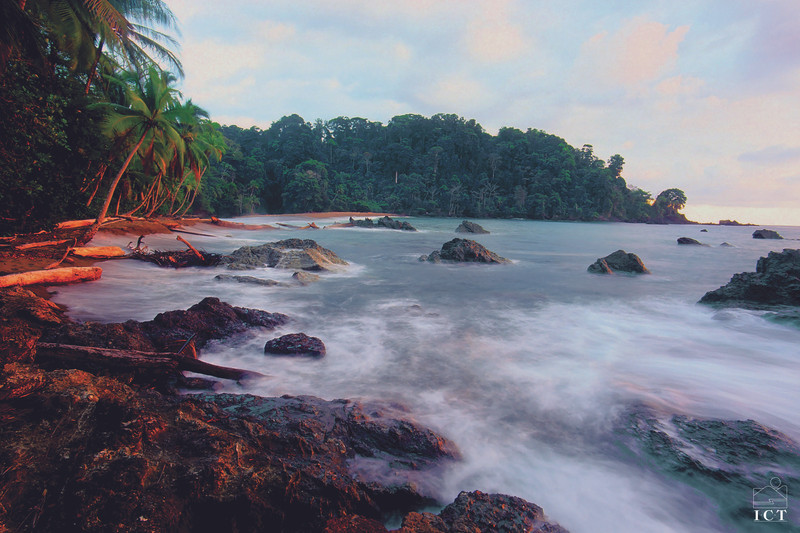 Corcovado, observation d animaux