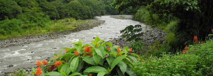 Sur les rives du Sarapiqui