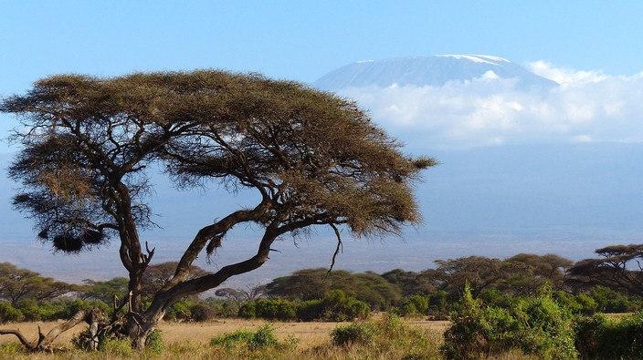 Arrivée en Tanzanie