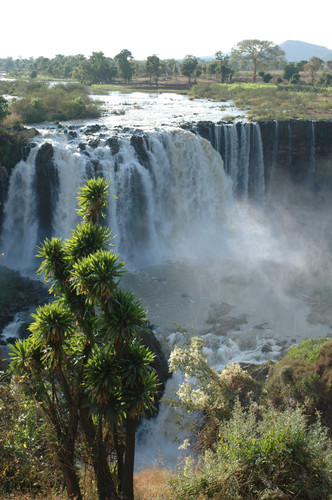 VOL ADDIS ABEBA - BAHIR DAR