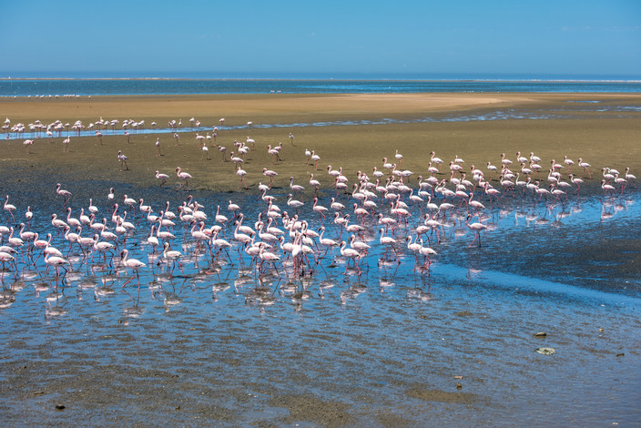 Swakopmund - Walvis Bay - Swakopmund