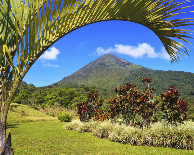 Volcan Arenal, découverte d'un mastondonte