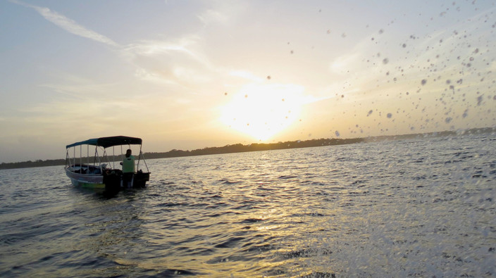 Bocas del Toro - Isla Bastimientos