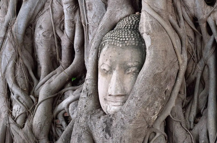 Kanchanburi – Camp de réhabilitation des Eléphants – Ayutthaya– Petit déjeuner, déjeuner
