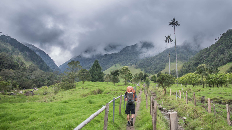 Vallée de Cocora et visite de Salento