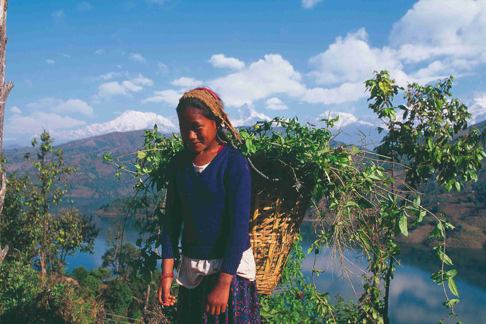 Jomosom - Pokhara - Katmandou