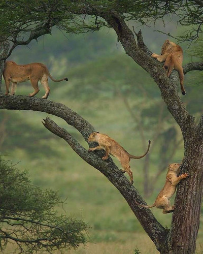 Karatu to Lake Manyara National Park