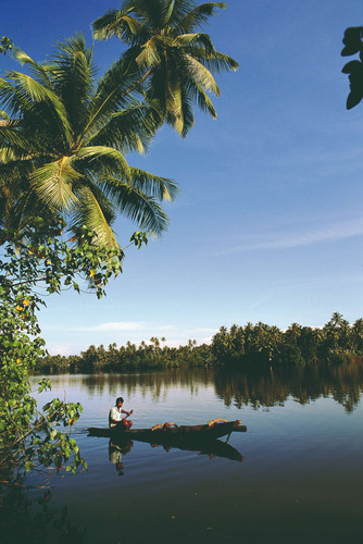 Le train mythique du thé et bateau sur la lagune de Negombo
