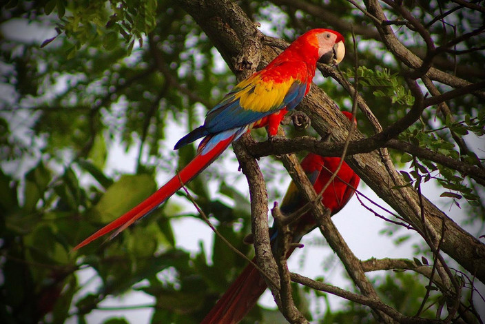 Retour à San Jose et départ du Costa Rica