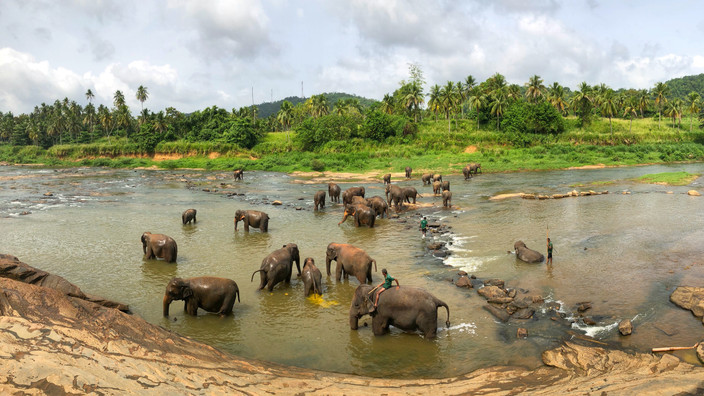 Negombo - Pinnawala - Dambulla - Habarana