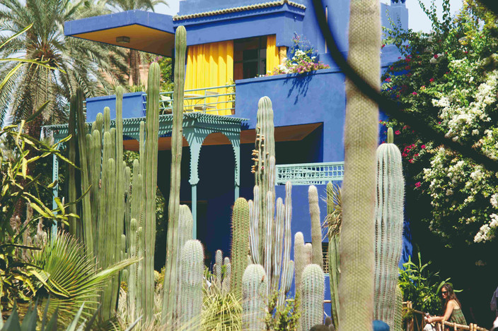 Yves Saint Laurent Majorelle Gardens et André Heller ANIMA GARDEN