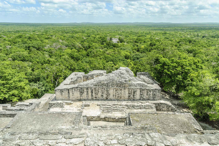 Immersion dans la Biosphère de Calakmul