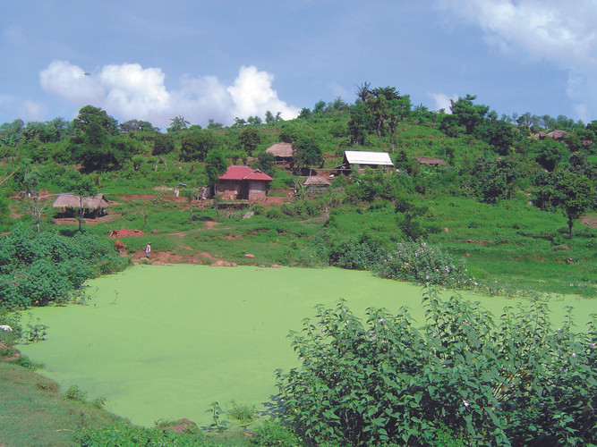 Départ de Bali
