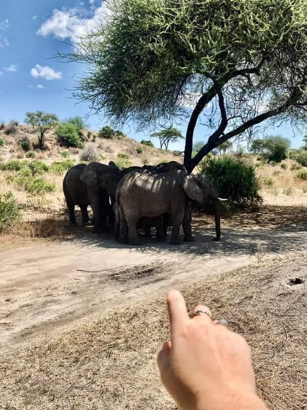 Dar es Salaam - Ruaha National Park