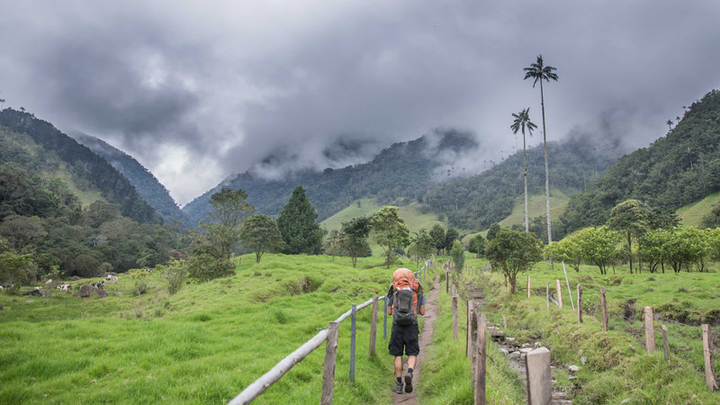Salento et la valée du Cocora