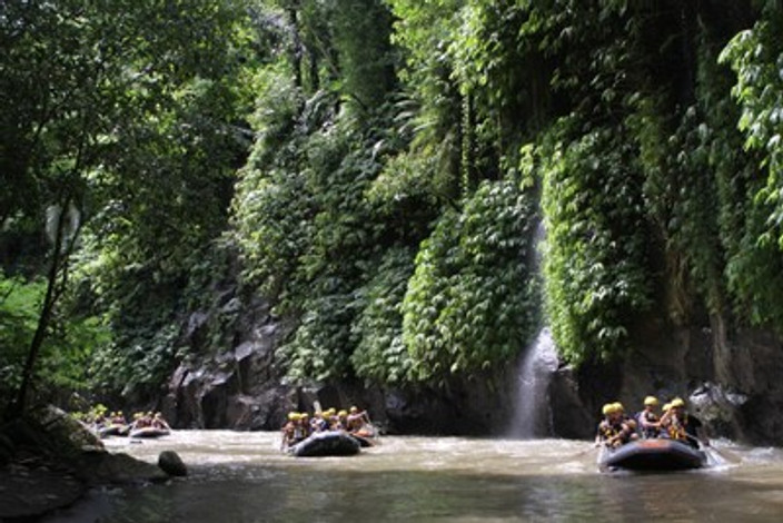 Fast & Boueux : jungle edition !