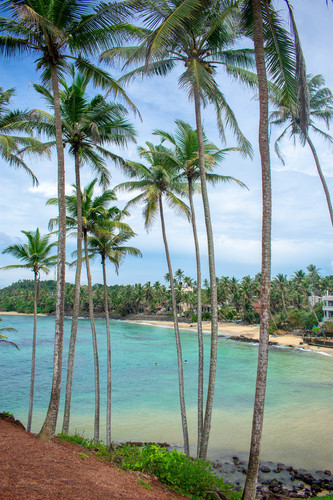 Détente sur les plages dorées de Beruwela