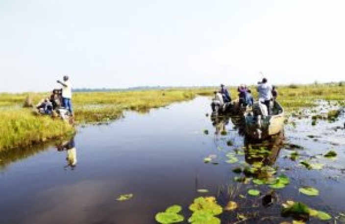 Een 1-daagse Mabamba-moeras Shoebill Spot