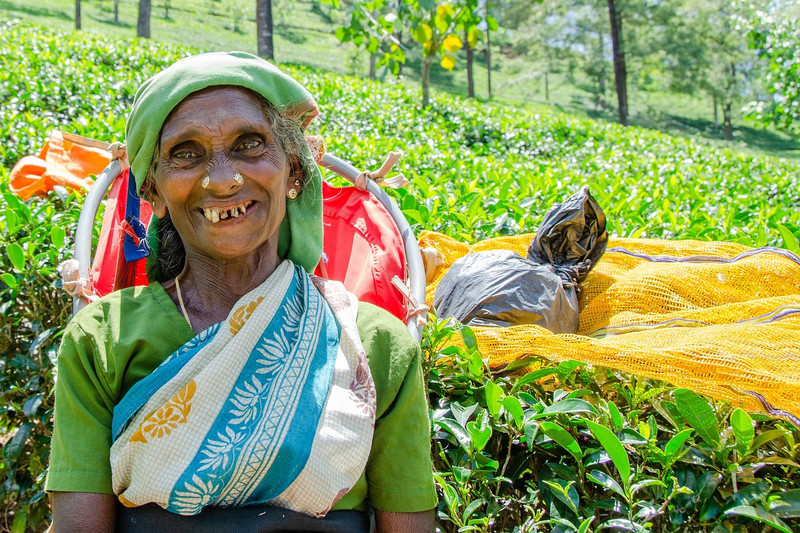 Ella - Nanu Oya -  Nuwara Eliya  (Approx. 5 hour drive)