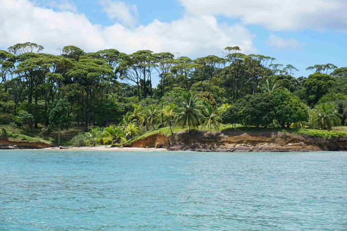 Bocas del Toro