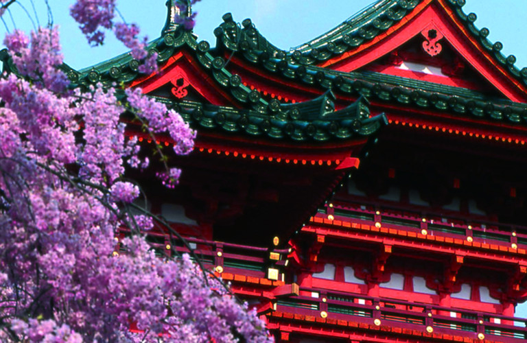 sakura-devant-un-temple-c-sylvain-grandadam