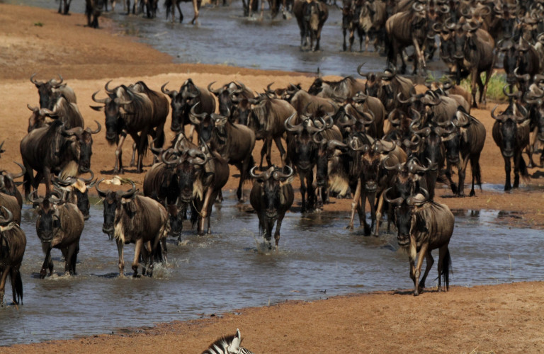 Quelles sont les meilleures activités en Tanzanie ?