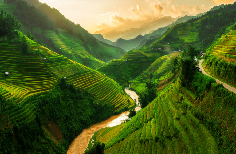 terraced-rice-field-in-mu-cang-chai-vietnam