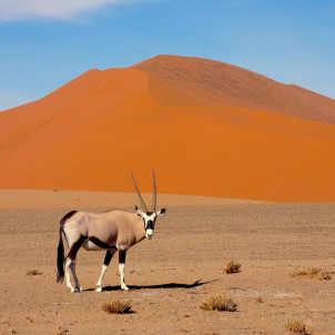 La Namibie : Du désert du Namib aux chutes Epupa