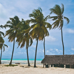 Culture et détente à Zanzibar