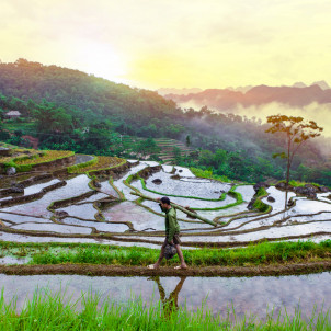 Grandeur Nature et Grand Nord Vietnam en 10 jours, 9 nuits