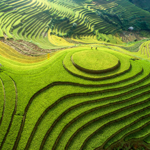 Grandeur Nature et Grand Nord Vietnam en 10 jours, 9 nuits