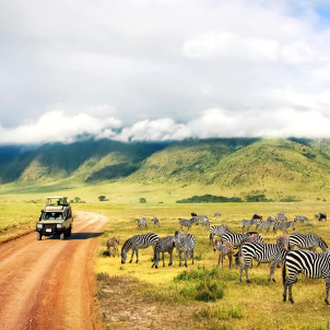Serengeti,Ngorongoro and Tarangire National Park