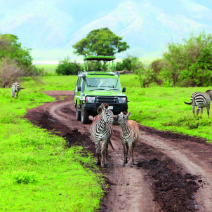 Serengeti,Ngorongoro and Tarangire National Park